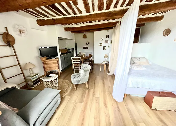 Appartement Cosy Dans Le Centre Historique De Vence